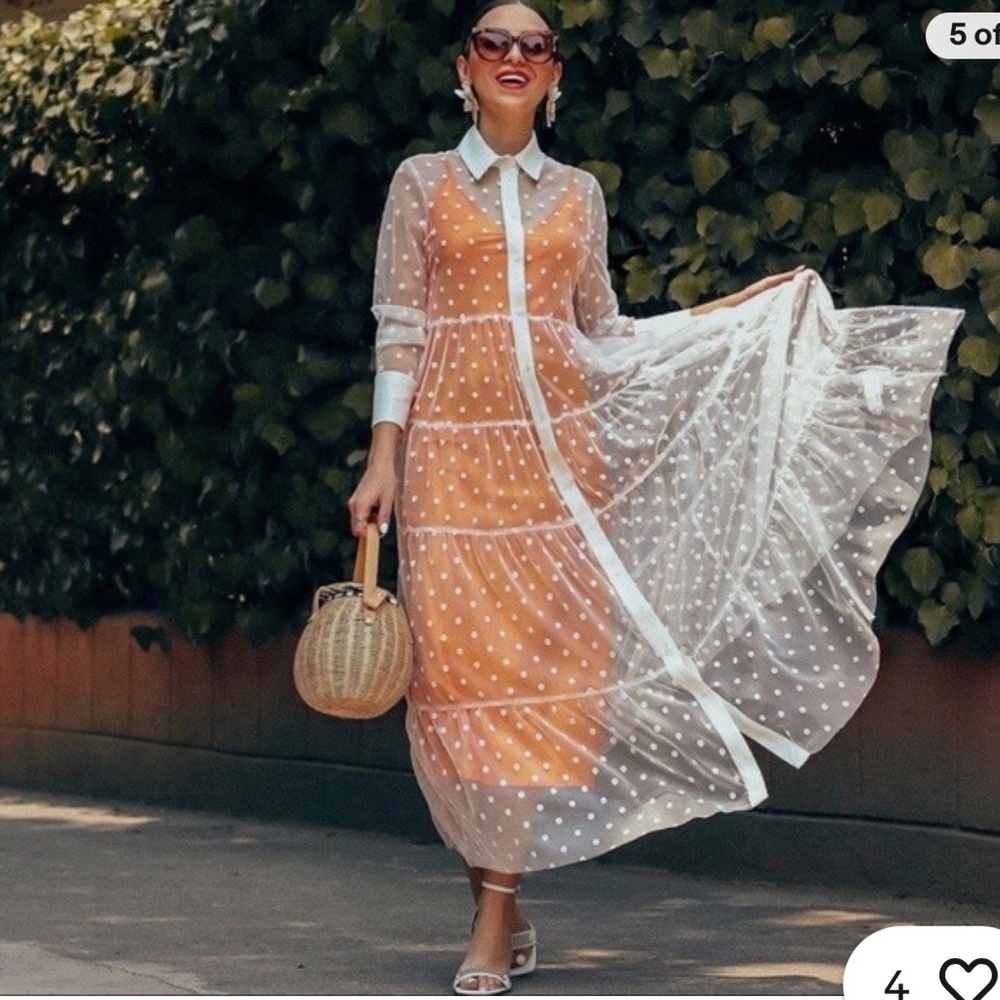 Zara Divine Ecru Polka Dot Tulle Maxi Dress. Like NEW Medium - Picture 6 of 17